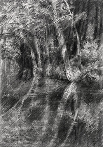 Shaded Forest Stream Art Print