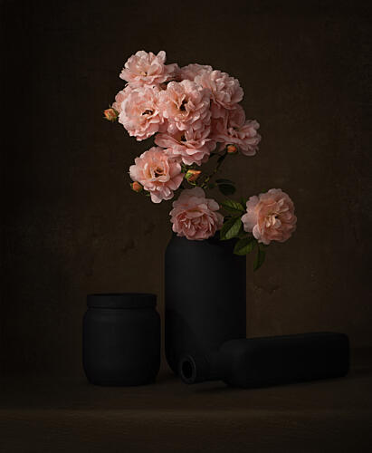 Moody Pink Roses Art Print