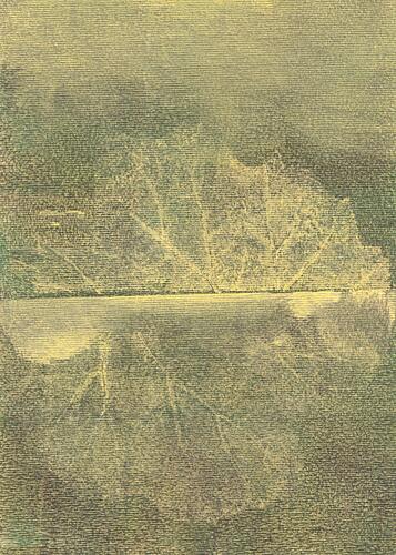 Subtle Leaf Reflection Art Print