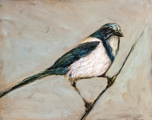 Quiet Magpie on Branch Art Print