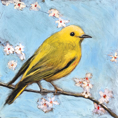 Yellow Bird Spring Blossoms Art Print