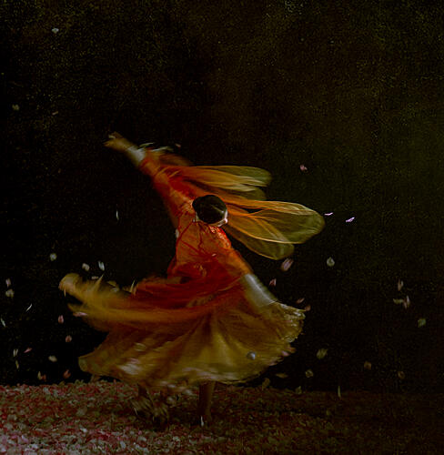 Flowing Dancer Petals Art Print by Rae Zhang