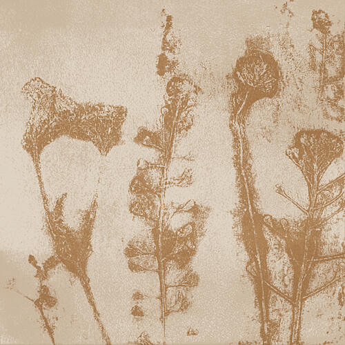 Sepia Botanical Impressions Art Print