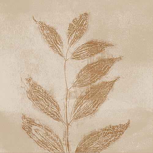 Sepia Botanical Study Art Print