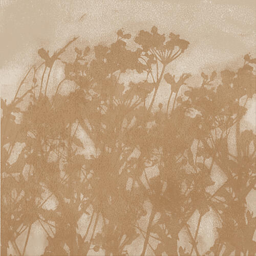 Warm Botanical Shadows Art Print