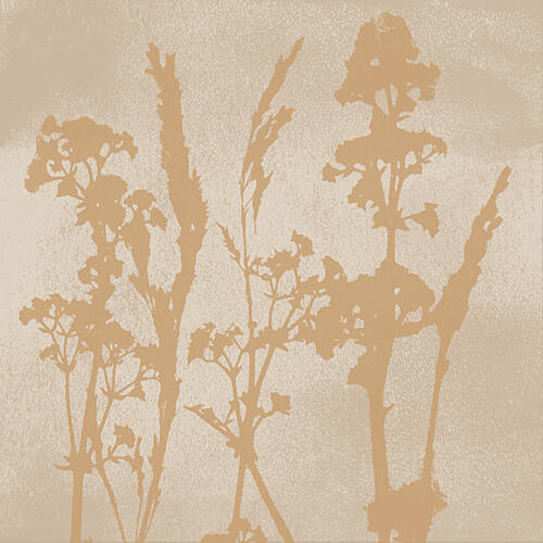Earthy Botanical Silhouettes Art Print