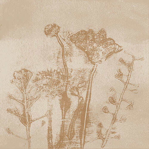 Delicate Sepia Botanicals Art Print