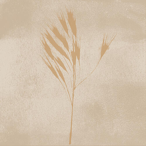 Warm Minimalist Wheat Stems Art Print