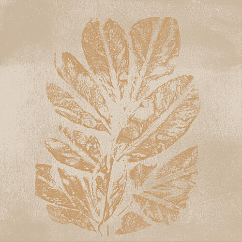 Faded Botanical Print Art Print