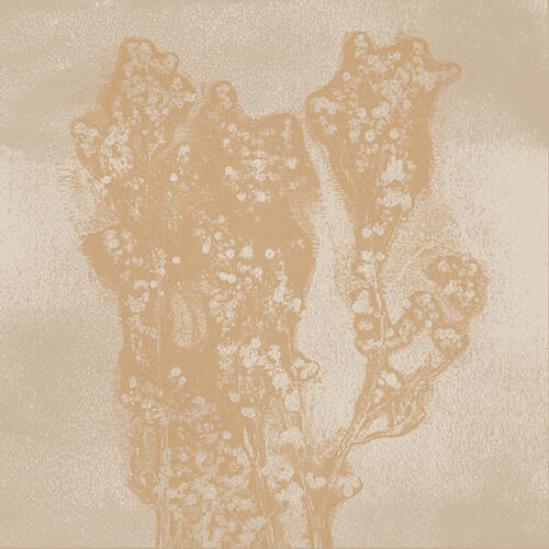 Soft Organic Forms Art Print