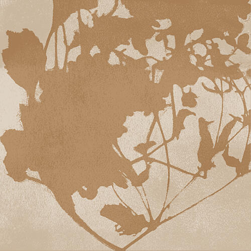 Botanical Shadow Play Art Print