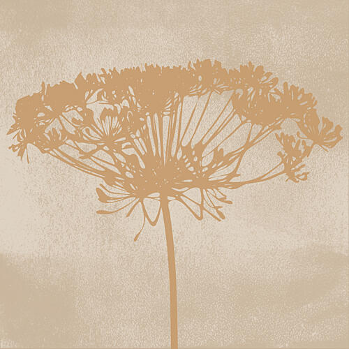 Dill Botanical Silhouette Art Print