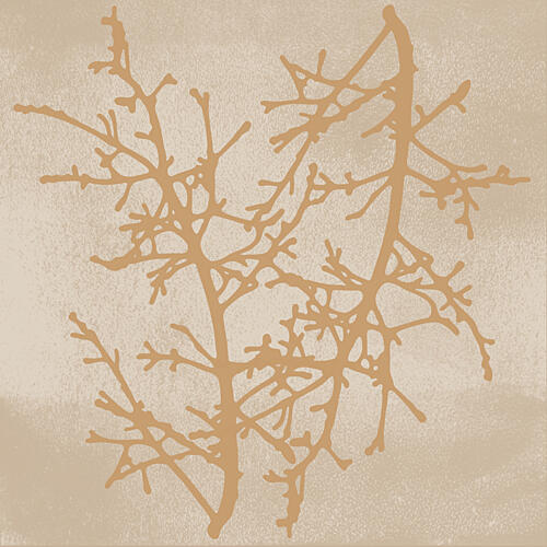 Delicate Winter Branches Art Print