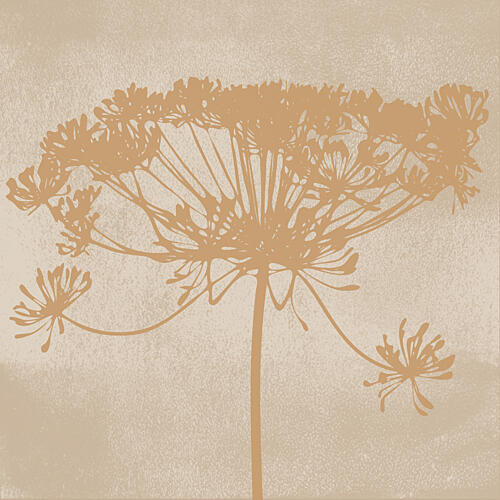 Delicate Botanical Silhouette Art Print