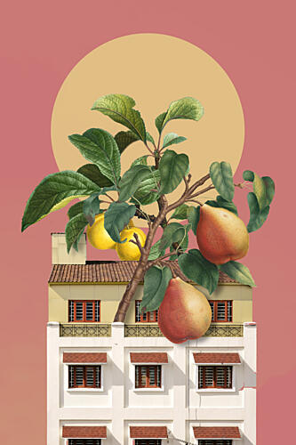 Surreal Pear Tree Building Art Print