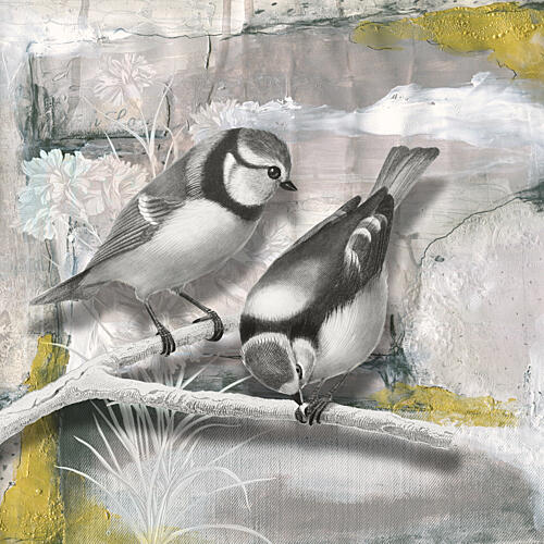 Blue Tits on Branch Art Print