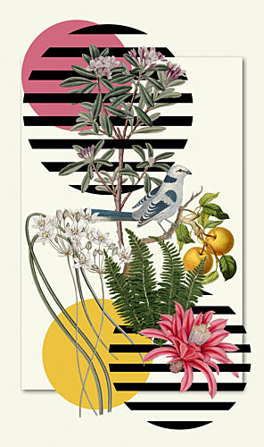 Vibrant Botanical Collage Art Print