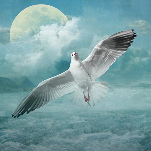 Of Seagulls and Seas Art Print