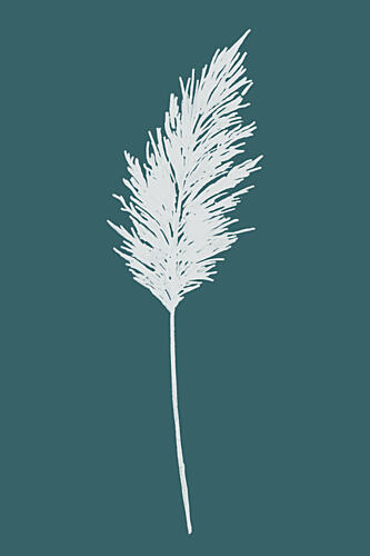 Elegant Pampas Plume Art Print by Cartissi
