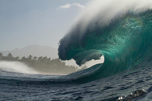 Emerald Ocean Curl Art Print by Anthony Fox