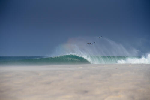 Ocean Wave and Flying Birds Art Print by Anthony Fox