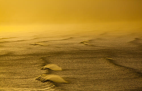 Golden Waves Surface Art Print by Anthony Fox