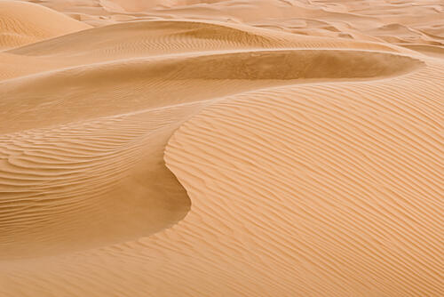 Windblown Desert Dunes Gold Print