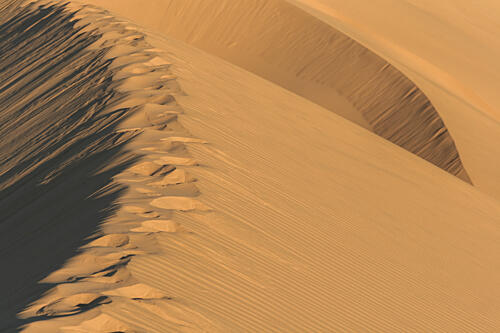 Desert Dune Shadows Gold Print