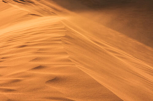 Desert Wind Patterns Gold Print