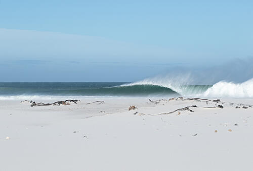 Perfect Ocean Wave Art Print by Anthony Fox