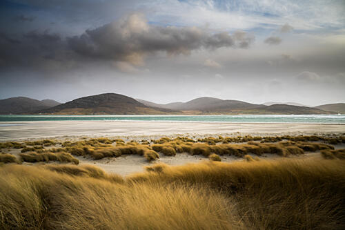Golden Dunes and Ocean Gold Print