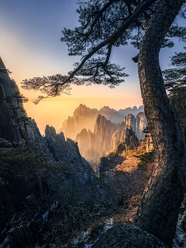 Golden Mountain Peaks Gold Print