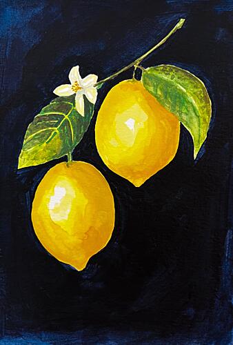 Vibrant Lemons Art Print