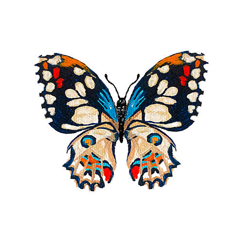 Vivid Butterfly Illustration Art Print