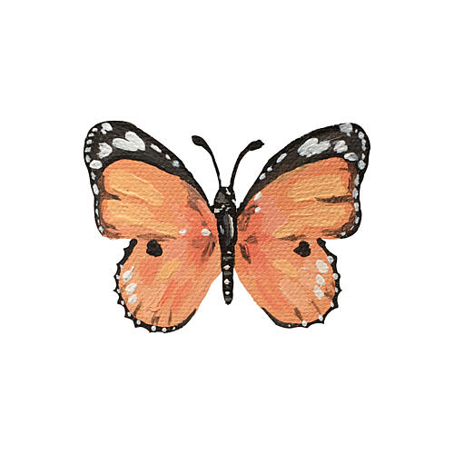 Vibrant Orange Butterfly Art Print
