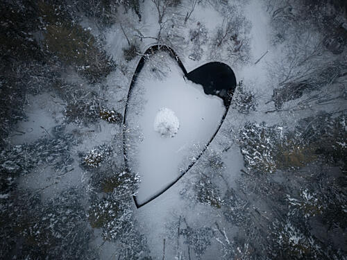 Snowy Heart Forest Art Print