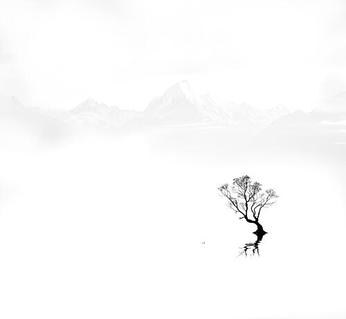 Misty Mountain Lone Tree Art Print by Kai Dan