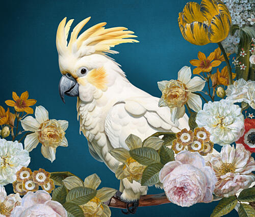 White Cockatoo Botanical Bloom Art Print