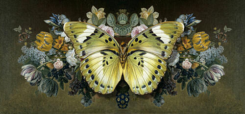 Yellow Butterfly Floral Symmetry Art Print