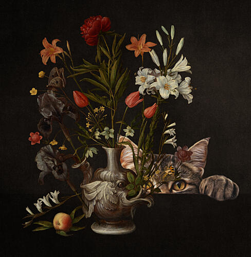 Peeking Cat Still Life Art Print