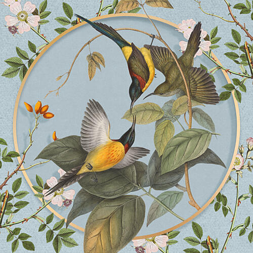 Vintage Botanical Sunbirds Art Print