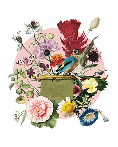 Vintage Garden Bird Art Print
