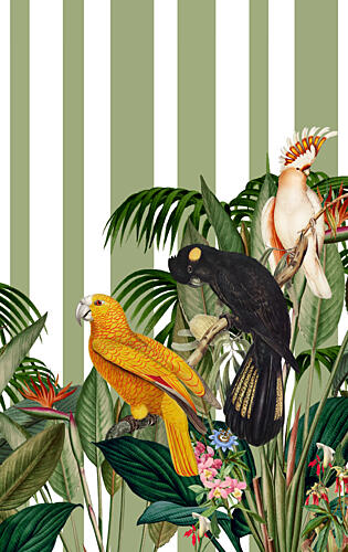 Vibrant Jungle Parrots Art Print