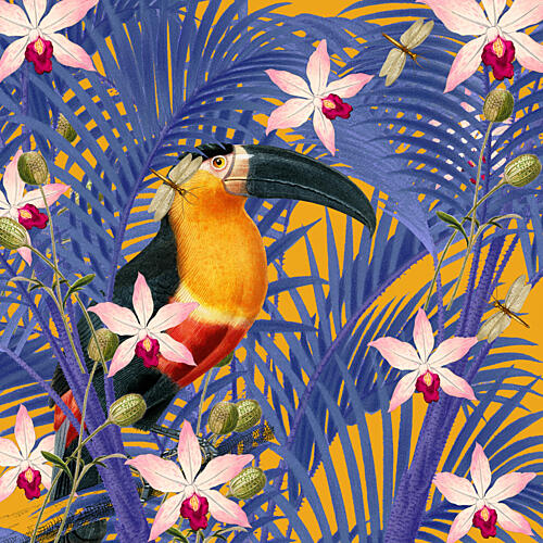 Vibrant Tropical Toucan Art Print