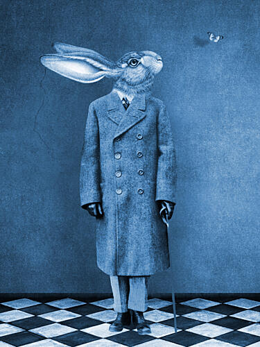 Curious Dapper Hare Art Print