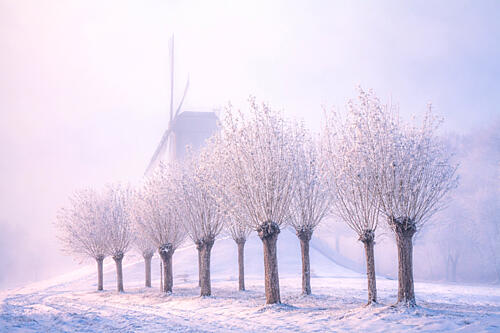 Misty Winter Windmill Art Print