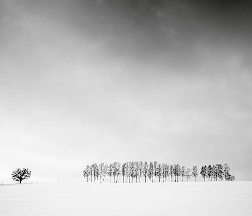 Winter Field Solitude Art Print
