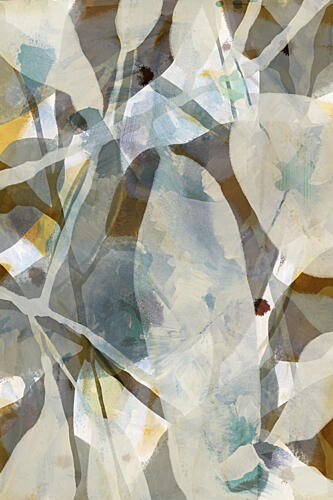 Calm Organic Layers Art Print by Cartissi