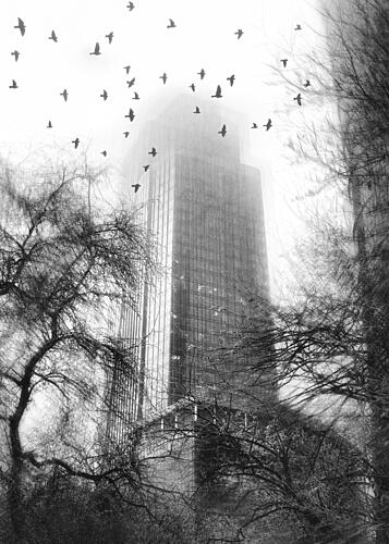 Misty City Birds Art Print