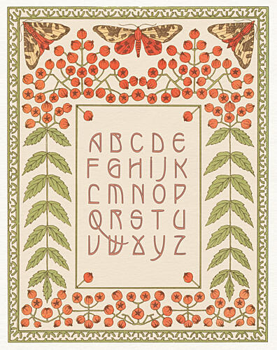 Botanical Alphabet Moths Art Print